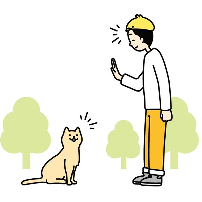 ねこに挨拶